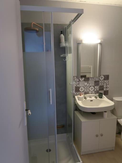 Appartement Des Hirondelles , Au Pied Du Chateau 시농 외부 사진